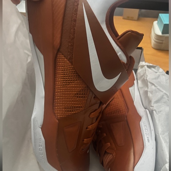 KD 4 LONGHORNS - Picture 3 of 4